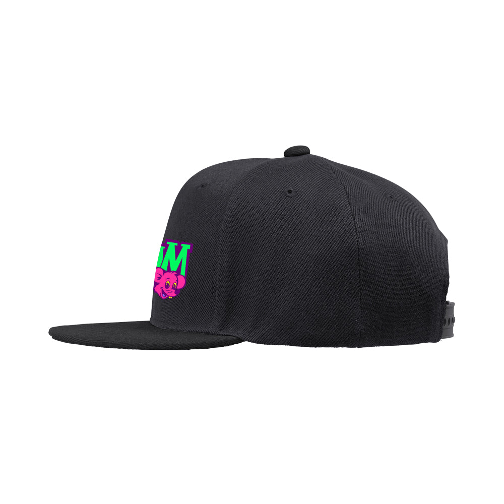 AIR JAM 2026 BB Cap (ブラック)