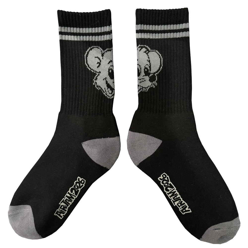 【一般販売】AJ_PUNKYY GRAY SOX